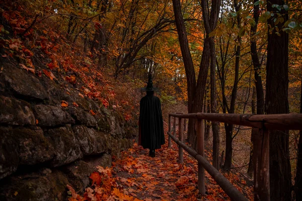 Halloween Wallpaper Background October Fall Season Scenic View Picture Witch — Stock Photo, Image