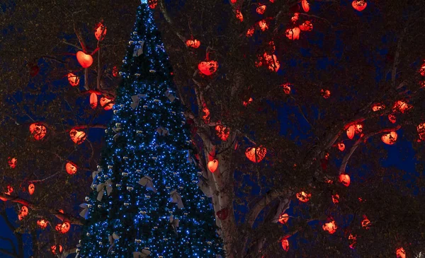 Éjszakai Ünnepi Utcai Karácsonyfa Dekoráció Koszorú Világítás Piros Kék Szín — Stock Fotó