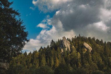dramatik manzara yumuşak odak doğa fotoğrafçılığı karamsar bulutlu bir günde çam ağaçlarının tepesinde resim kayaları.