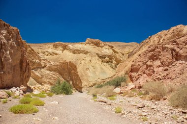Kanyon Çölü çevresi manzaralı vahşi doğa manzarası Dünya 'nın Orta Doğu bölgesinde yaz günü kuru hava durumu