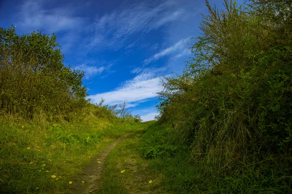 Simple Rural Nature Scenic View Environment Space Green Foliage Blue — Stock Photo, Image