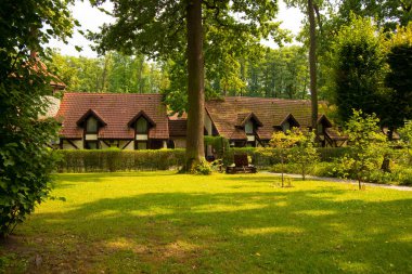 Ormandaki kır evleri güneşli doğa manzaralı yeşil çayır ve açık hava saatinde yüksek ağaçlar.