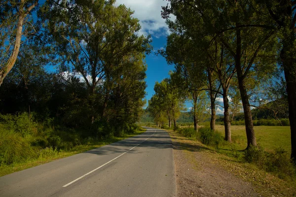 País Lado Del Coche Ruta Transporte Por Carretera Los Árboles — Foto de Stock