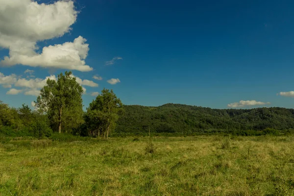 Verano Claro Tiempo Día Verde Paisaje Prado Árboles Región Las —  Fotos de Stock