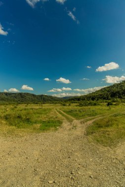 Kırsal bölgenin dikey resmi, araba lastiği izli çevre alanı dışında.