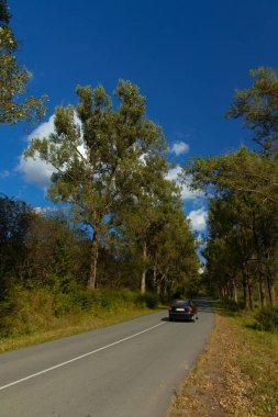 Ağaçların arasındaki otoyolun dışında yaz aylarında ulaşım yolu açık hava saatinde dikey resim