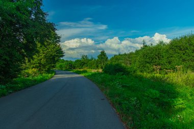 asfalt yol ulaşım yolu olan yeşil çevre alanı