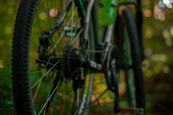 soft focus cycle detail wheel and chain foreground object view in outdoor forest environment