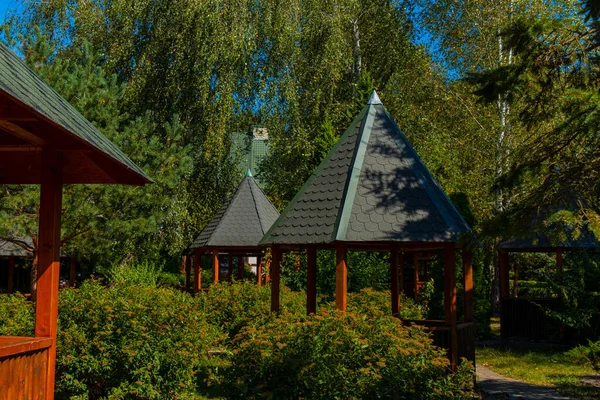 Outdoor Park Umwelt Raum Grün Sommer Natur Mit Hölzernen Pavillon — Stockfoto