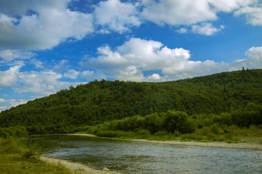 Karpatya dağları güzel manzara manzara manzara manzarası tepe ve nehir akarsularını kaplayan yeşil ağaçlar yaz aylarında açık hava günü
