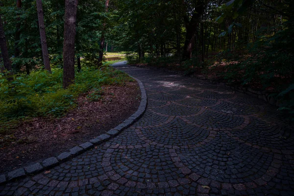 Park Freien Dunklen Raum Unter Bäumen Schatten Friedliche Spaziergänge Und — Stockfoto