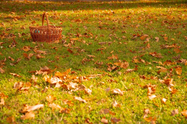 October Meadow Autumn Season Golden Time Falling Leaves Folk Basket — Stock Photo, Image