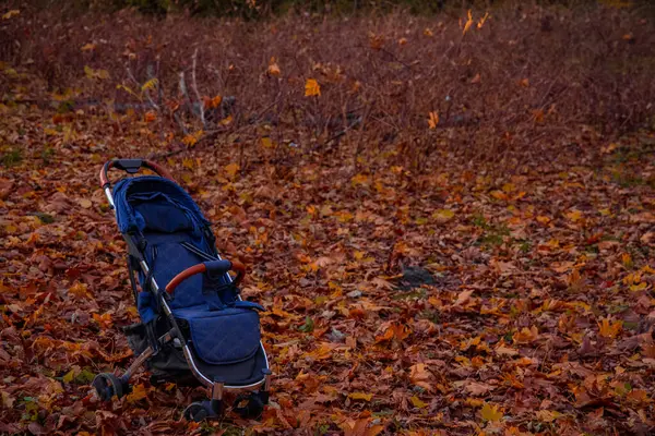 Детская Коляска Октябре Открытый Парк Апельсиновыми Опадающими Листьями — стоковое фото