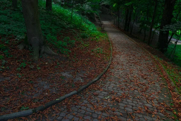 Fin Septembre Automne Saison Parc Extérieur Courbé Piste Trottoir Pour — Photo