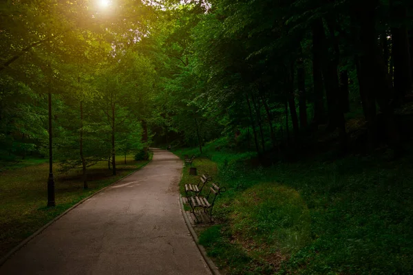 Park Rano Słońce Wschód Czas Spacery Spokojne Środowisko Naturalne Ławki — Zdjęcie stockowe