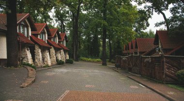 Avrupa 'nın kuzeyinde ahşap köy yazlık evleri ve asfalt sokak sonbahar mevsiminde açık hava fotoğrafçılığı Eylül ayında
