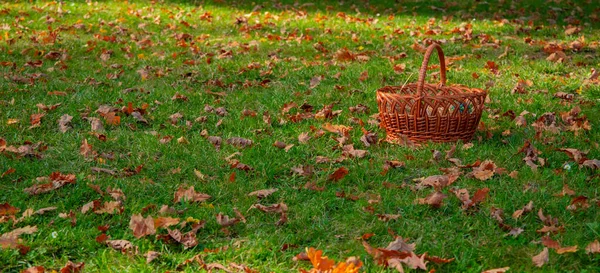 十月生机勃勃的草地上 落落着五彩缤纷的树叶和民间手工制作的篮子 草场全景公园户外摄影墙纸的概念 — 图库照片