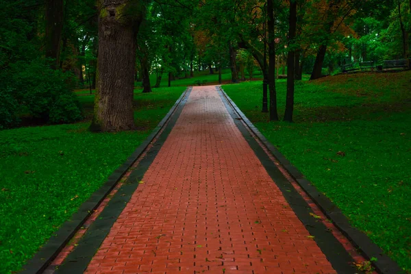 Idylliczny Park Odkryty Piękny Krajobraz Malowniczy Widok Mokrą Brukowaną Ścieżką — Zdjęcie stockowe