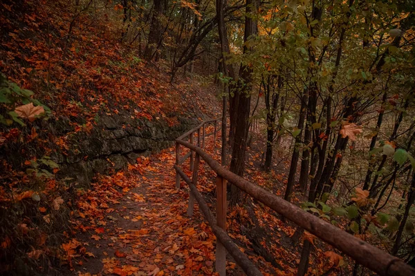 Magnifique Campagne Dynamique Automne Paysage Sentier Avec Palissade Rurale Mur — Photo