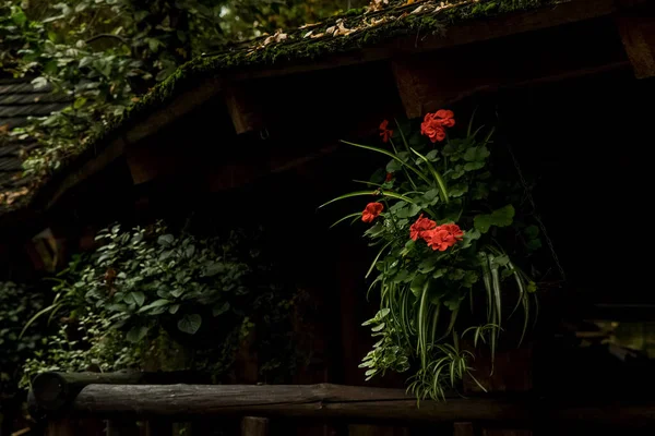 still life rose flowers art space in cold castle courtyard with a lot of dark environment and gothic style objects