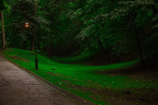 Ambiente Soledad Iluminación Verde Del Parque Atardecer Prado Verde Con —  Fotos de Stock