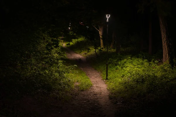 Sendero Del Parque Nocturno Iluminación Eléctrica Linterna Aire Libre —  Fotos de Stock