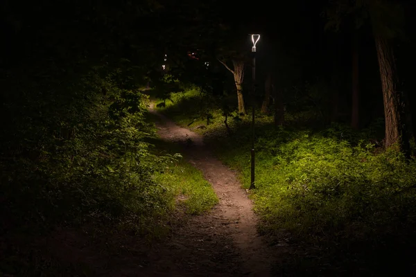 Nachtpark Fußweg Und Outdoor Laterne Strombeleuchtung Stockfoto