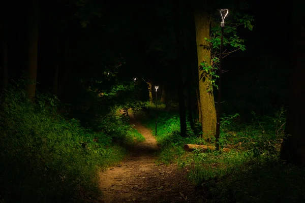 Gece Parkının Toprak Patikası Elektrik Fenerinin Altında Yalnızlık Çeken Insanların — Stok fotoğraf