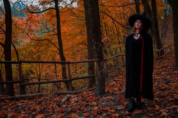 10代の若いです大人の女の子の肖像コスプレの魔女ハロウィーンの休日で秋10月シーズン時間 国側田舎の公園スペースで日オレンジの葉がたくさん — ストック写真