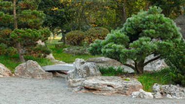 Bahçe düzenlenmiş stil tasarım manzara çevre alanı şehir meydanındaki yeşil ağaçlar ve kayalar dekoratif nesneler