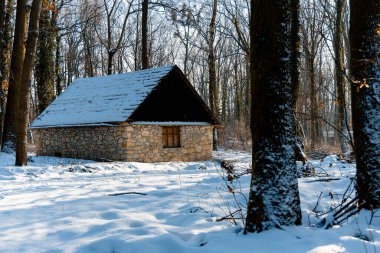 north Europe cabin in the woods winter forest environment snowy space landscape building rustic landmark