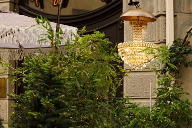 Otel odasının dış cephesi bahçedeki balkon avizesi çiçek ağacı verandası olan yer.