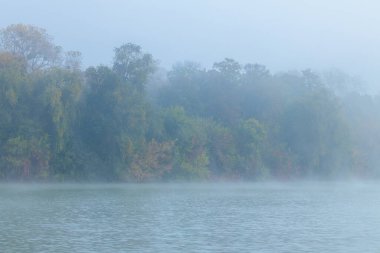 Depresif dramatik duman sisli sis manzarası su ve ağaçlar üzerinde orman manzarası sezona özgü arka plan manzarası