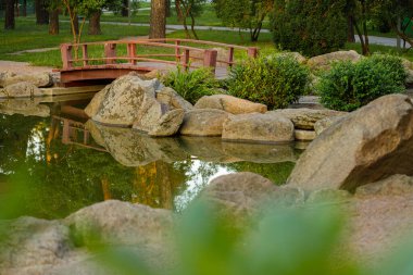 Bahar doğası manzara parkı. Su havuzu rezervuarlarının dekoratif alanı. Küçük kırmızı köprü çevresi olan çalılar mevsimlik yerler.