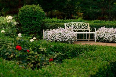 Süslü düğün yeri güzel bahçe atmosferi estetik beyaz çiçekler ve yeşil bitkilerin içindeki boş bank çalı ve çiçek yaprakları bahar mevsimi alacakaranlık çevre duvar kağıdı konsepti
