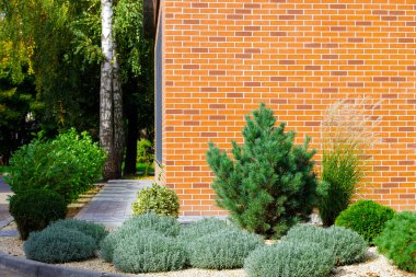 Bahçe manzaralı bitkiler ve çalılık bahçe çiçekli tasarım açık hava manzaralı bahar mevsimi