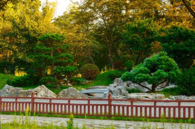 Parkın manzarası doğanın güzelliği güneşli bahar manzarası yeşil yapraklar çalılar ve ağaçlar çevre alanı