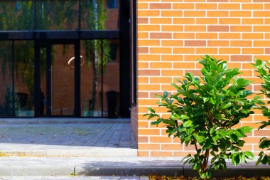 Dış bina girişinde yeşil bitkilerden oluşan çiçek ve bahçe çiçeklerinden oluşan kaldırım kenarı alanı var.