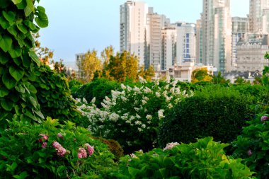 İlkbahar çiçek bahçesi çiçek manzarası doğa manzarası şehir manzarası gökdeleni arka plan yeşil ekolojik ekolojik fütüristik yapı kavramı