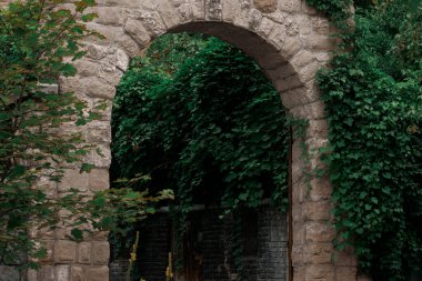 Orta Avrupa mimari nesnesini şekillendiren taş kemerli yapı. Eski terk edilmiş orta yaş sokaklarında uzun kıvırcık bitkiler.