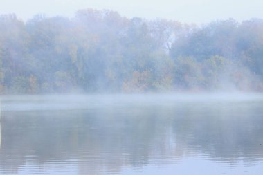 Yumuşak sislerle kaplanmış ve arka planda yoğun bir orman bulunan sakin bir göl manzarası.