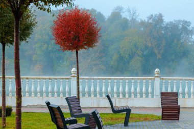 Serene Park bankları, sonbahar yeşillikleri ve dekoratif korkulukları olan sisli bir göle bakar.