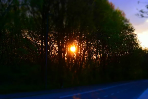 Schöner Sonnenuntergang Stadtpark — Stockfoto