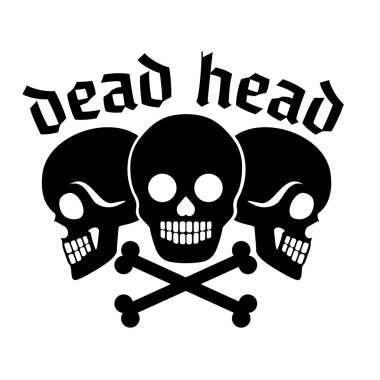 Grunge kafatası arması