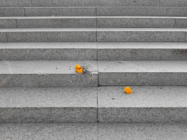 Yellow Flower Stairs Crushed Yellow Flower — Stock Photo, Image