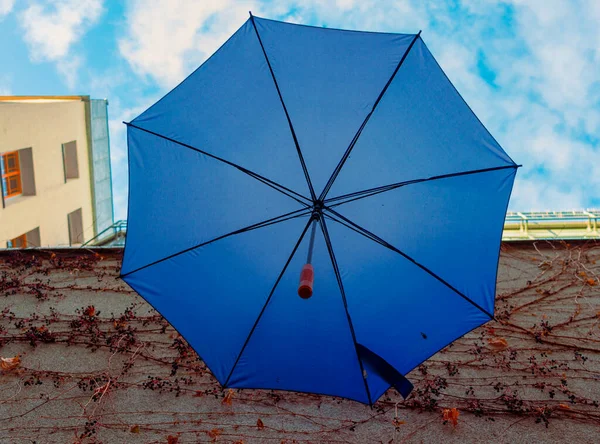 Kablolarda asılı dekoratif renkli şemsiye