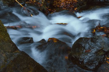 Dağ deresinin kayalık ve yapraklı uzun pozlu fotoğrafı.