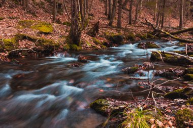 Dağ deresinin kayalık ve yapraklı uzun pozlu fotoğrafı.