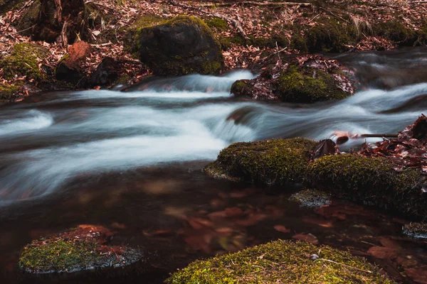 Dağ Deresinin Kayalık Yapraklı Uzun Pozlu Fotoğrafı — Stok fotoğraf