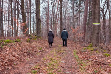 Dağ ormanlarında yürüyen bir çift.